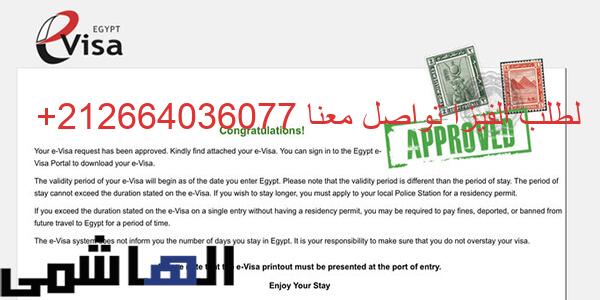 الفيزا الإلكترونية المصرية للجزائريين