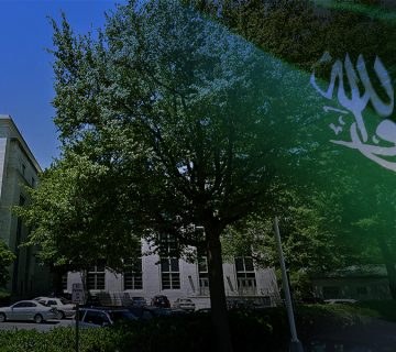 Saudi Arabian flag with a government building and trees