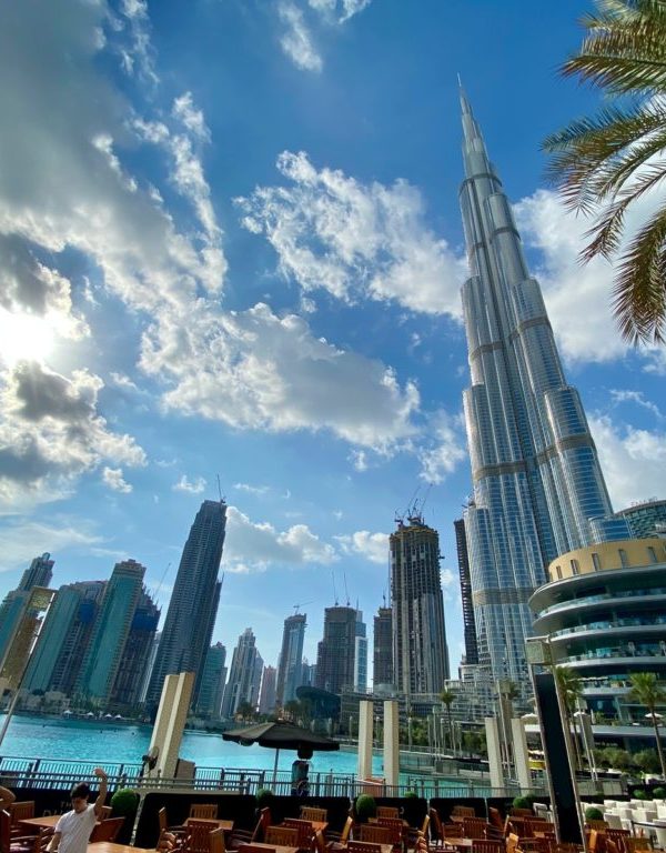Dubai skyline with Burj Khalifa and palm trees