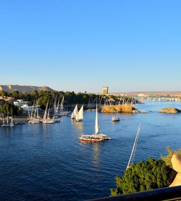 Scenic view of the Nile River in Aswan with sailboats and clear blue sky.