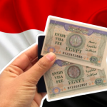 انواع الفيزا لمصر